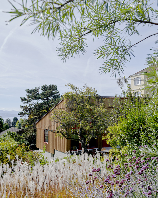 128_mcroiziernbrosiere01