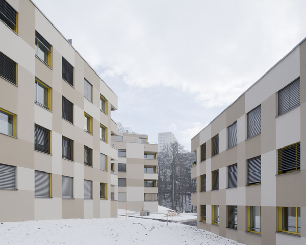 88_201701-28nbarch---fichesdsc9525---hasoo-photoo